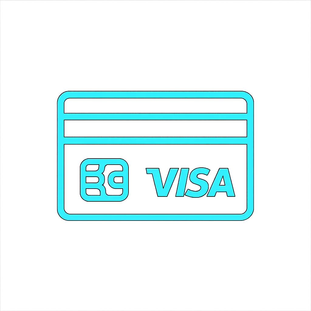 Visa payment icon
